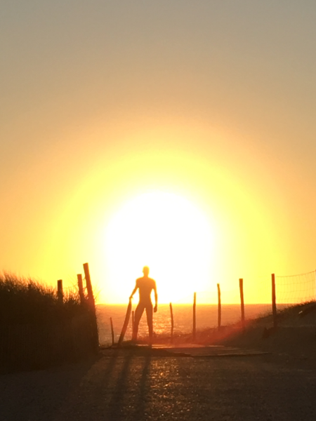 Spots De Surf Hossegor Sunset